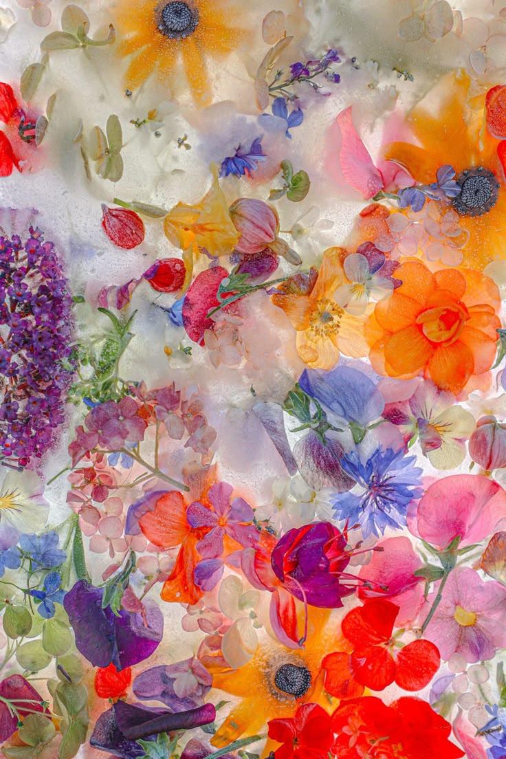 Whimsical Dance of Dew-Kissed Petals